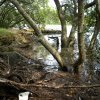 Salt Pan Creek, where women gathered wild flowers 